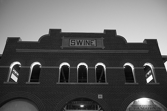 MSF Swine Barn #10