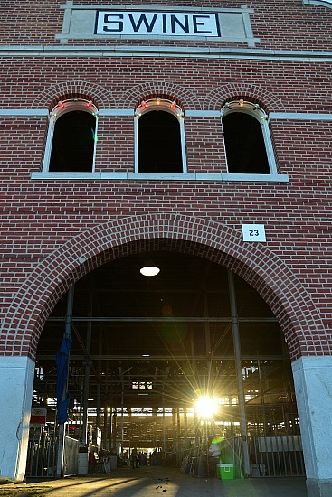 MSF Swine Barn #7