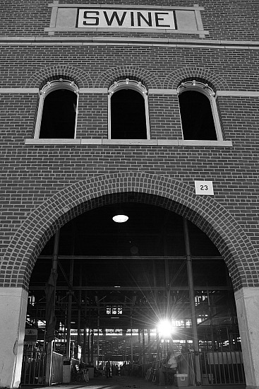 MSF Swine Barn #8