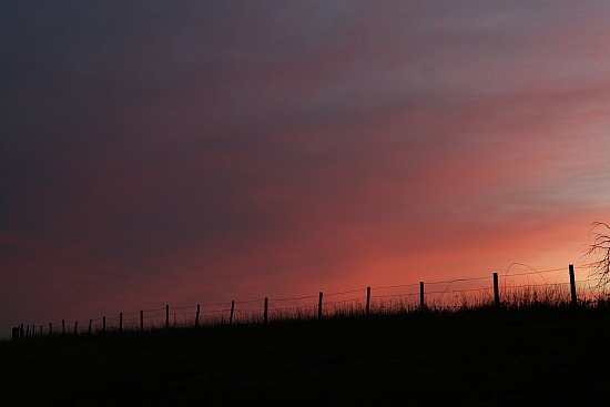 Sunset #7