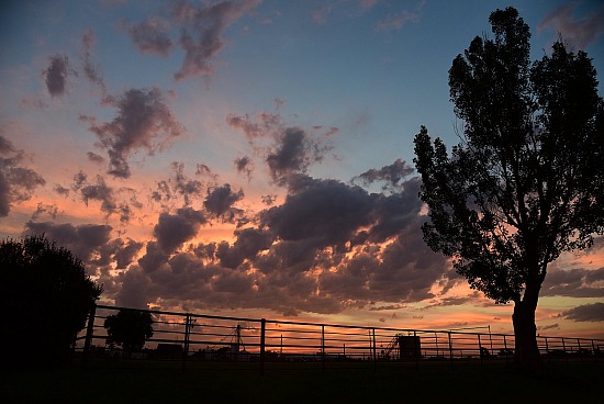 Sunset #4
