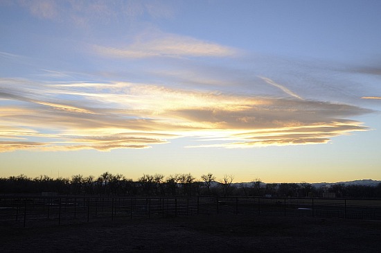 Sunset #5