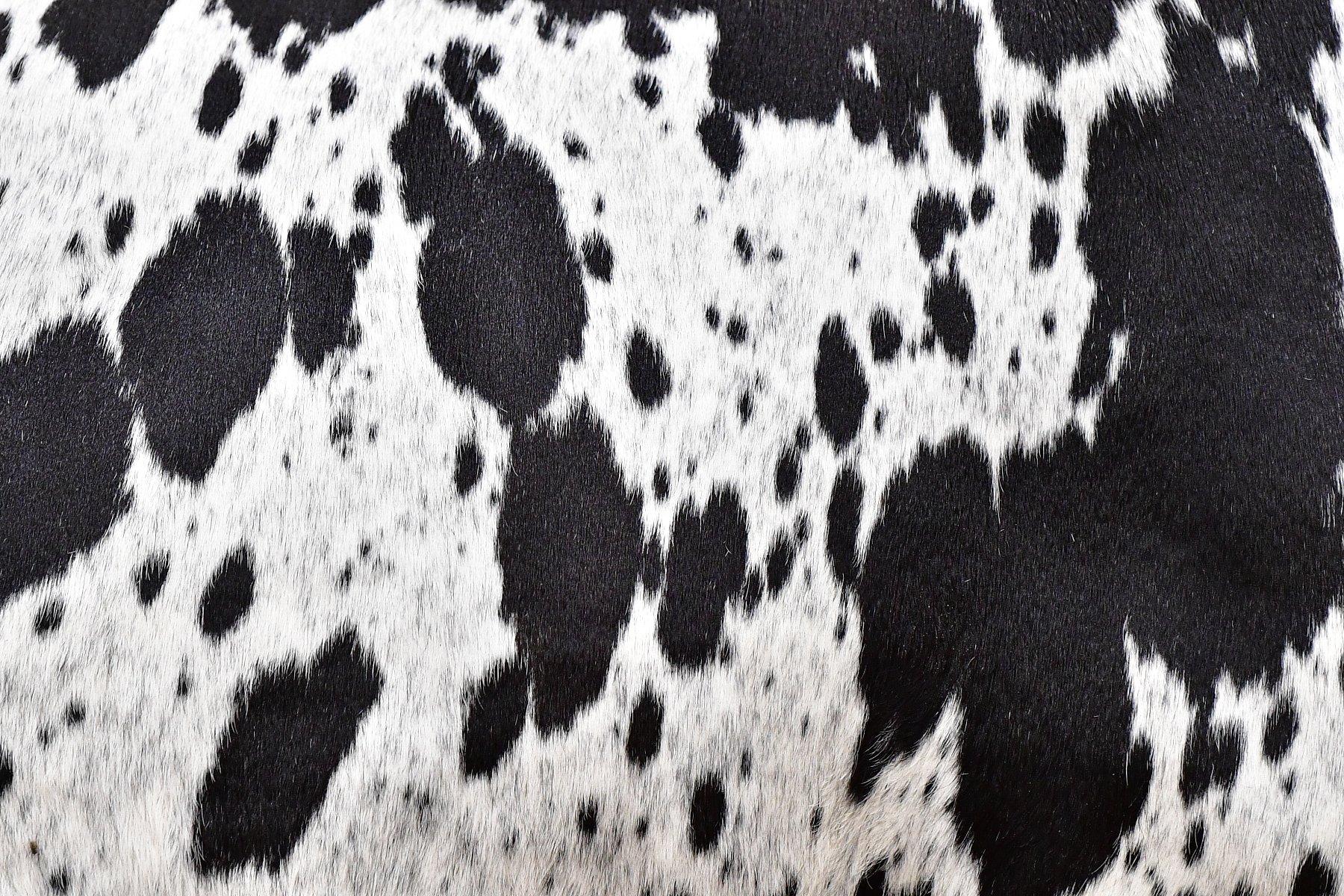 Cow Hide #6