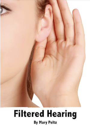 Filtered Hearing Cover