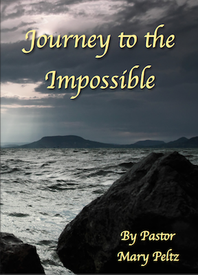 Journey to the Impossible Cover