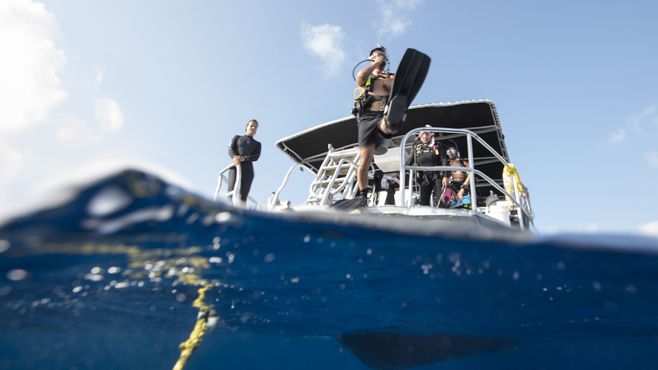 Dive in Mahahual Diving Yucatan
