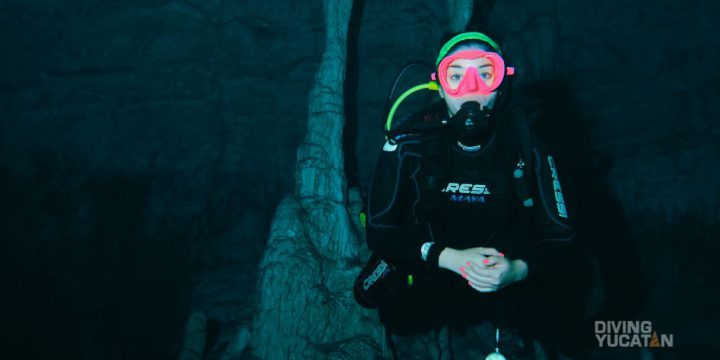 Discovery Scuba Diving: Tu primera aventura submarina