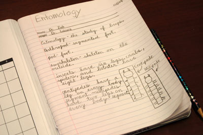 Entomology notes