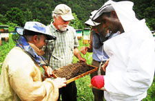 wsunews5-12bees