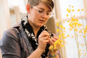 Rachel conducting her research on pollination in the WSU Greenhouse