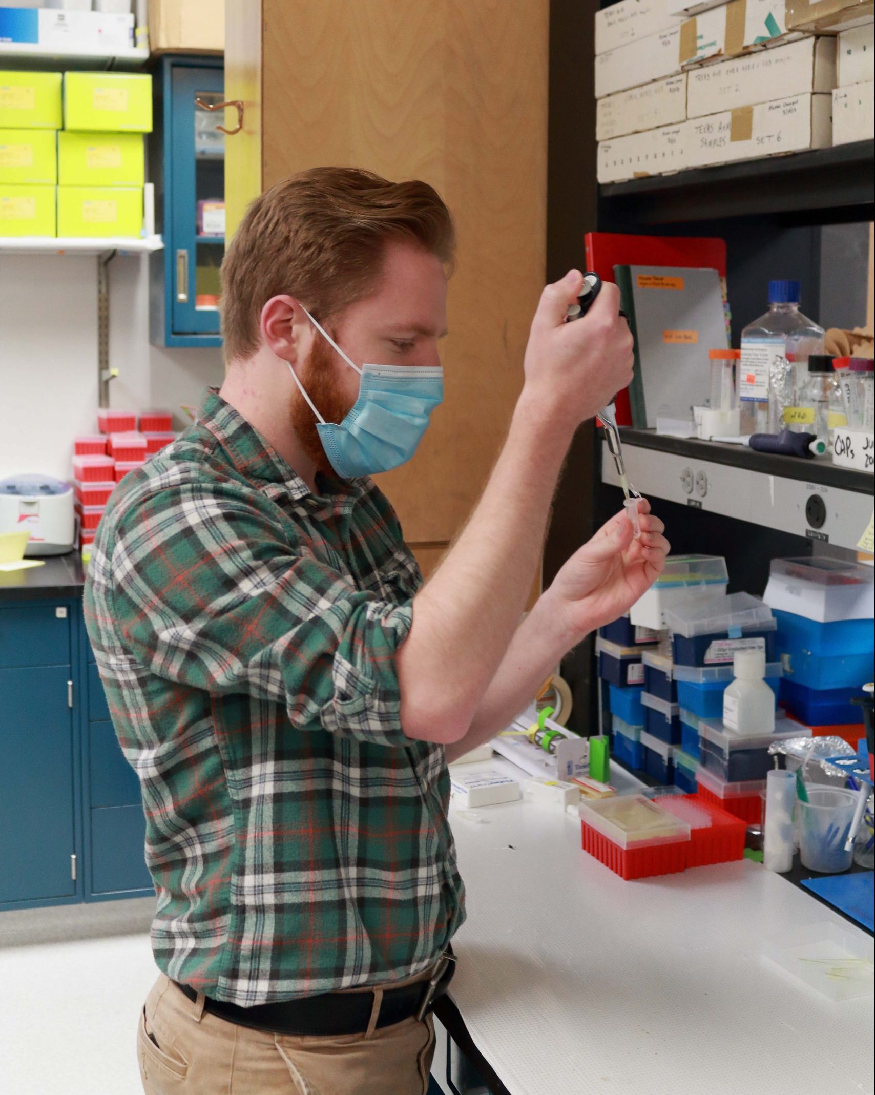 Connor working with samples in the lab