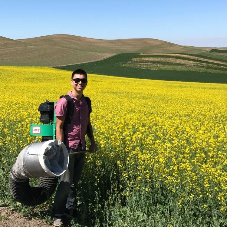 Benjamin Lee sampling for insects on the Palouse with a D-VAC.