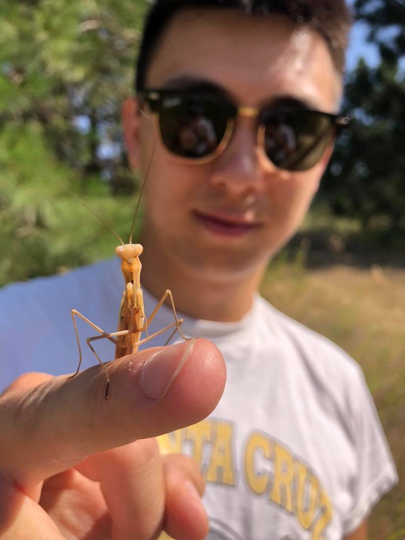 Benjamin Lee holding a praying mantis.