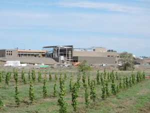 Wine Center under construction