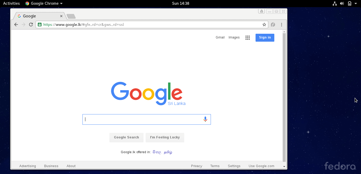 google browser