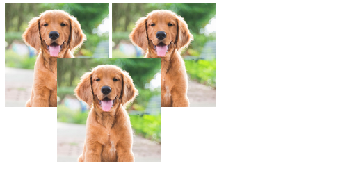 dog images in triangle shape