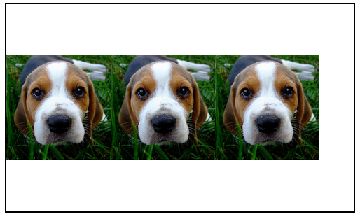 three dog images aligned center