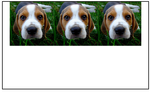 three dog images aligned center