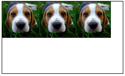 three dogs in a flexbox