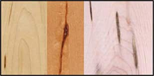 Mineral Streaks in Lumber