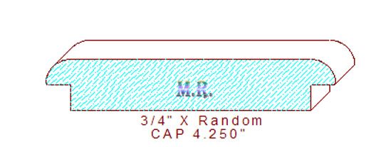 Partition/Wall Cap 4-1/4"