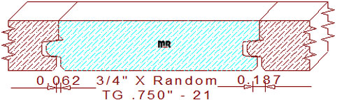 Tongue & Groove 3/4" - 21