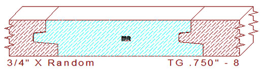 Tongue & Groove 3/4" - 8