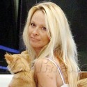 Pamela Anderson To The Rescue