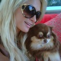 Paris Hilton's Animal Farm