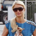 Paris Hilton And Her Pooch In Bev Hills