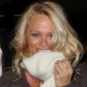 Pam Anderson Arrives At The Airport