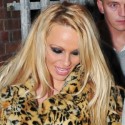 Pamela Anderson On The Prowl