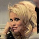 Pamela Anderson Travels Through England