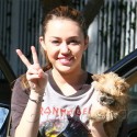 Miley Cyrus Shows X17 Some Love