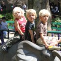 The Rossdale Boys Have Fun At The Zoo