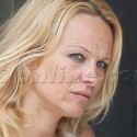 Pam Anderson Grabs Groceries