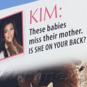 Kim Kardashain Slammed In New PETA Billboard