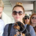 Miley Cyrus Totes Her Pup Through The Miami Airport