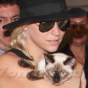 Ke$ha Carries Her Precious Cargo At LAX