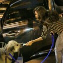 Eva Mendes Takes Ryan Gosling's Dog To The Vet