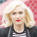 Gwen Stefani Picks Up Son Zuma