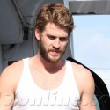 <em>Hunger Games</em> Hottie Liam Hemsworth Works Out