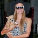 Paris Hilton Jets Out Of LAX