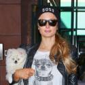 Paris Hilton Runs Errands With Her Dogs