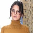Kendall Jenner Hangs With Rumored Beau Lewis Hamilton In NYC