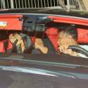 Tyga And Kylie Get Into A Fender Bender