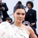 Kendall Jenner's Dress Stuns On Cannes Red Carpet