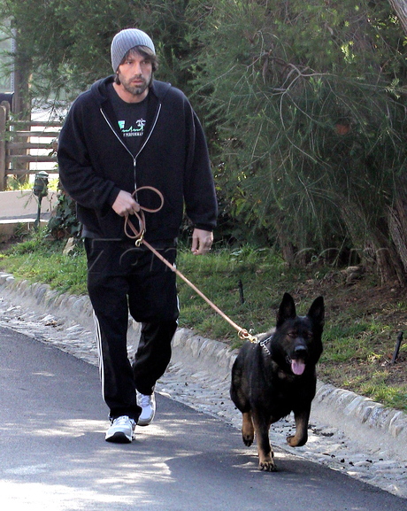 Ben Affleck dog beanie hoodie 