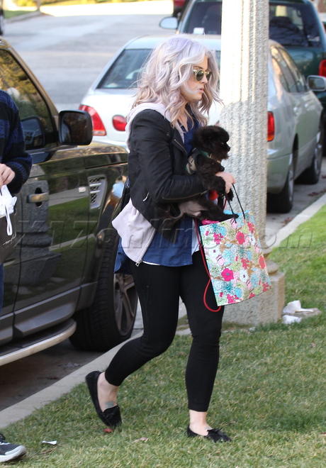 Kelly Osbourne hair hair extensions tattoos dog weight 