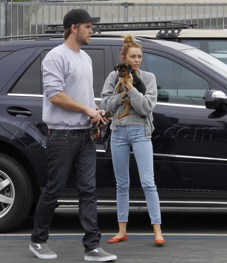 Miley Cyrus Liam Hemsworth vet East Valley Animal Care Center 